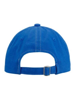 Ladies NASCAR Logo Hat -Clothing Promotion Store NAS9LH0007 D