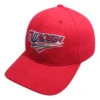 Juvenile Talladega Hat -Clothing Promotion Store TAL9YH000600 C